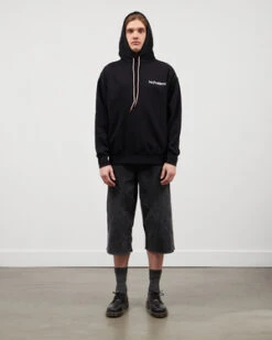 Aries AriseMini Problemo Hoodie